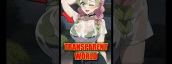 Demon Slayer Transparent World EXPOSED! #shorts #demonslayer #anime