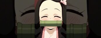 Demon Slayers Meet Nezuko #anime  #shorts  #demonslayer