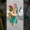 Facts About Rebecca One Piece