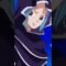 Facts We Liked About One Piece #shorts #OnePiece #anime