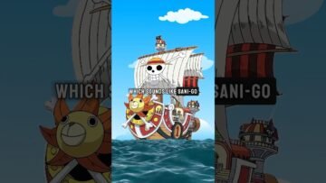 One Piece Devil Fruit Number Theory #shorts #anime #onepiece
