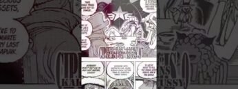 One Piece Manga   #onepiece   #shorts  #anime