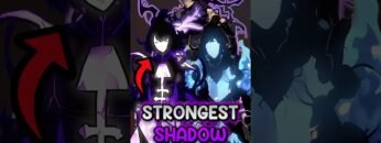 Solo Leveling Shadows Ranked: Each One Has A Deadly Secret #shorts  #sololeveling  #anime