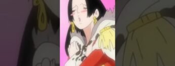 Who Will Win Luffys Heart? #OnePiece #anime #shorts