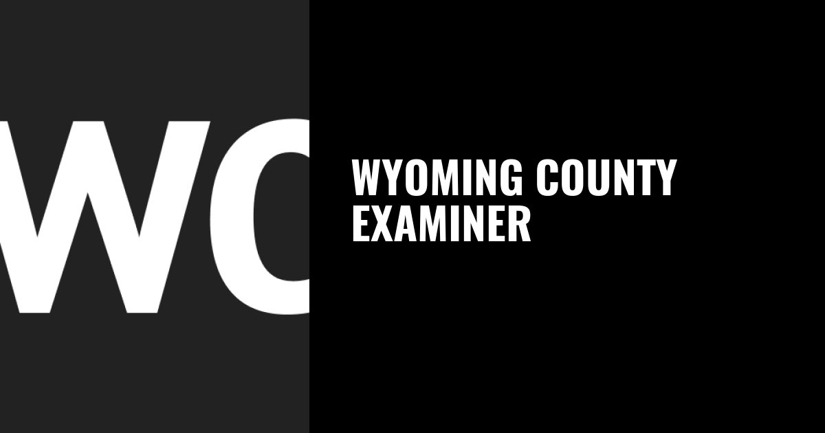 Infinity Castle” is a visually stunning, epic anime – Wyoming County Examiner