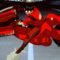 Akira-Kenada-Bike-Skid.jpg