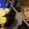 a-custom-image-featuring-saitama-in-one-punch-man-and-guts-in-berserk-2016.jpeg