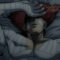 one-punch-man-1.5.png.jpg