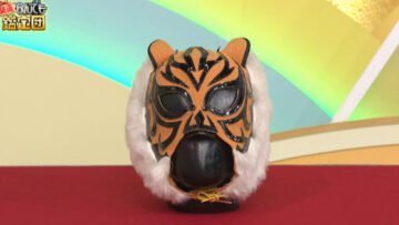 osaka_tiger_mask.jpg