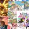 summer2025-montage-w14.jpeg