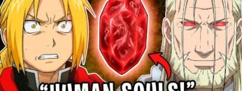 TEMP FMA