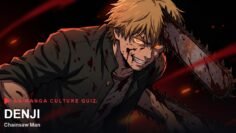 Denji Quiz Cover