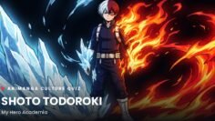 todoroki-quiz-cover