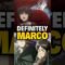 Attack on Titan’s Saddest Hidden Detail About Marco !